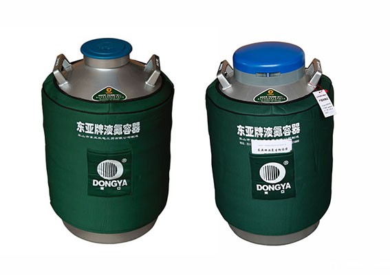 星空游戏网客户端