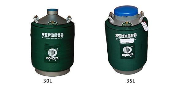 星空游戏网客户端