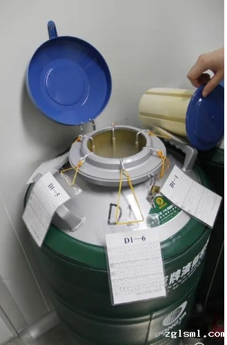 星空游戏网客户端