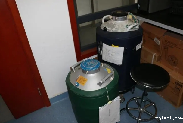 星空游戏网客户端