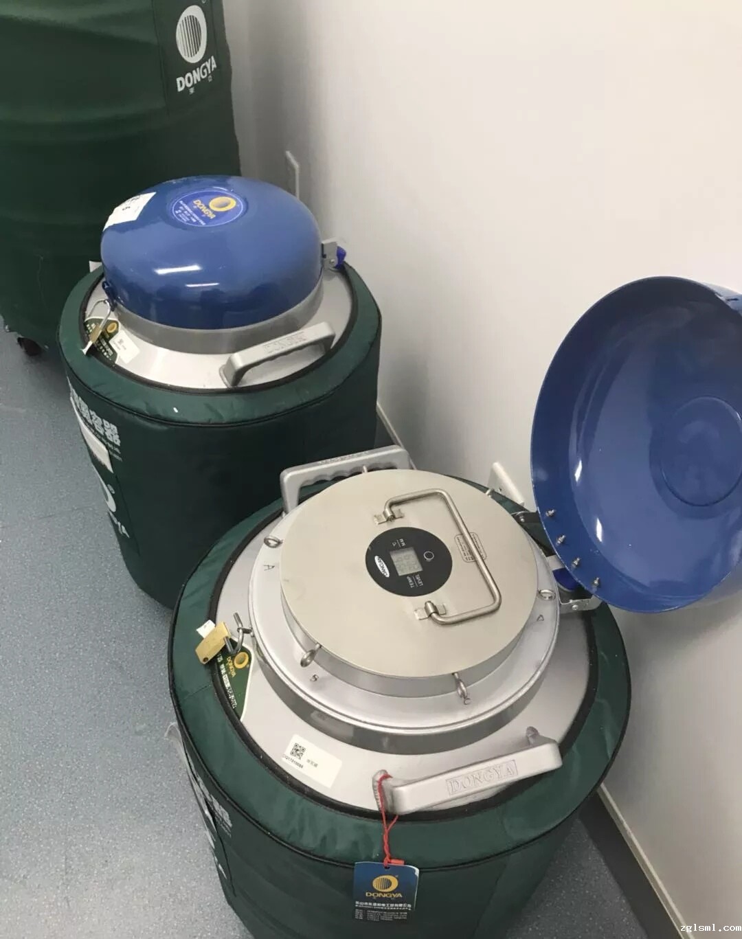 星空游戏网客户端