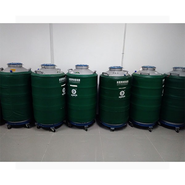 星空游戏网客户端